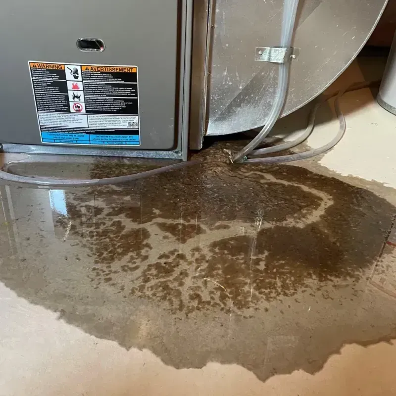 Appliance Leak Cleanup in Angier, NC